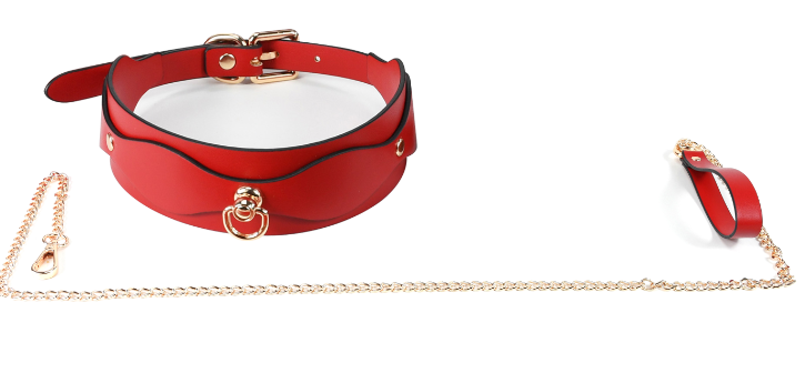 PU Leather BDSM Collar with Metal Leash – Available in Black, Grey, Red, and Red-Black - Image 3