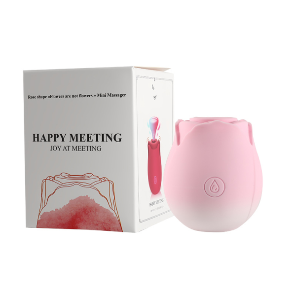 Rose Clitoral Sucker – 10 Suction Modes, USB Magnetic Rechargeable, IPX5 Waterproof Silicone (Solid & Gradient Colors) - Image 4